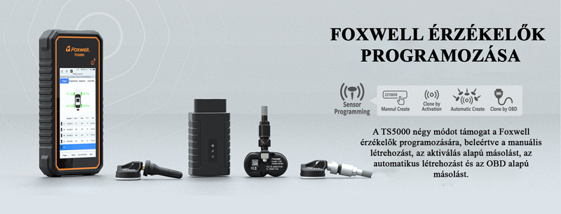 Foxwell TS5000